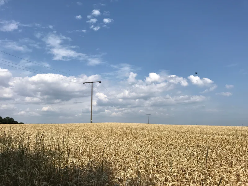 RHEIN-BURGEN-WEG 2/2