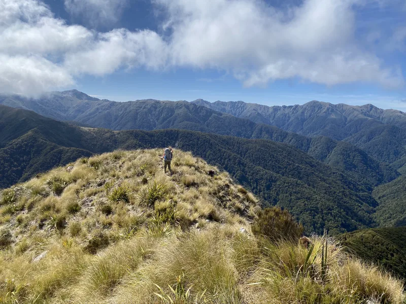 Palmerston North to Picton